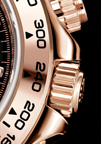 daytona or rose daytona or rose