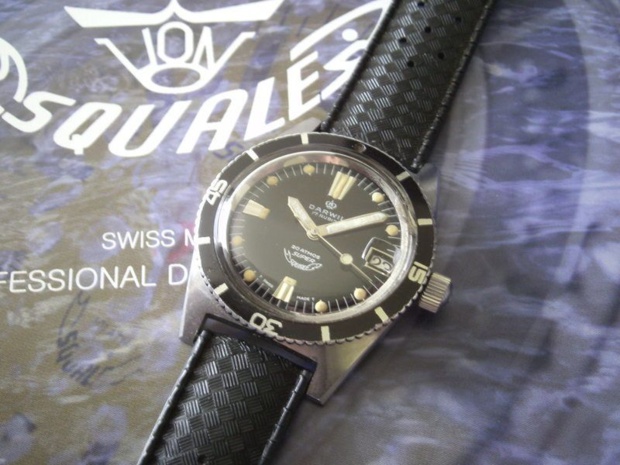 Squale : des montres de légende portées par les plus grands plongeurs