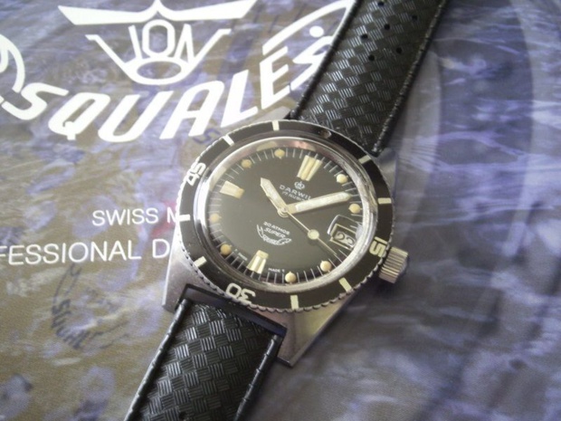 Squale : des montres de légende portées par les plus grands plongeurs Squale : des montres de légende portées par les plus grands plongeurs