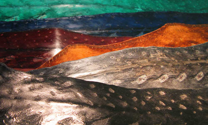 Kaléidoscope de couleurs de cuir d’esturgeon Kaléidoscope de couleurs de cuir d’esturgeon