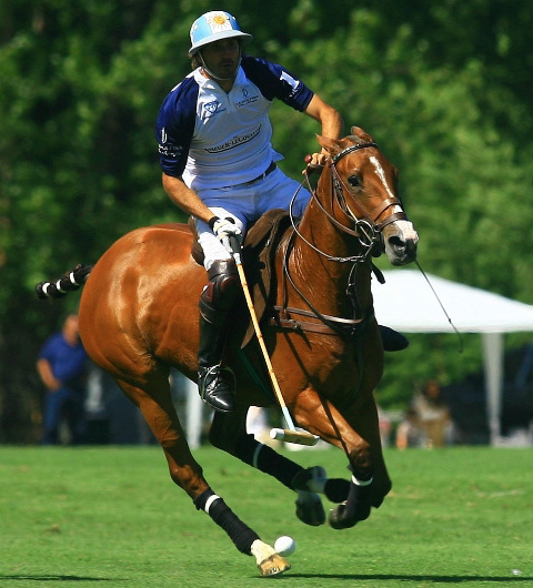 Jaeger-LeCoultre : novembre 2010, une nouvelle saison de polo en Argentine