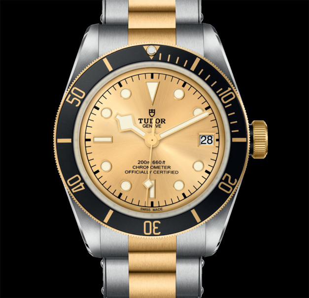 Tudor Black Bay S&G Tudor Black Bay S&G
