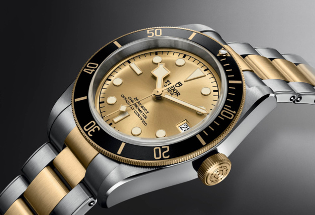 Tudor Black Bay S&G