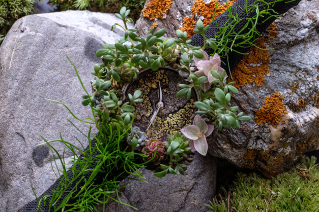 Moser Nature Watch