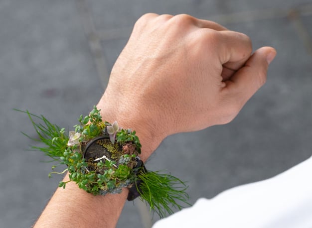 Moser Nature Watch Moser Nature Watch