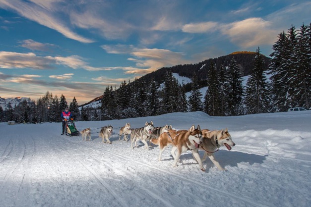 Alpina : Rémy Coste remporte La Grande Odysée Savoie Mont Blanc 2019 Alpina : Rémy Coste remporte La Grande Odysée Savoie Mont Blanc 2019