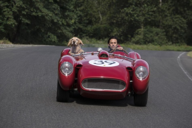 The art of racing in the rain Copyright 2019 Twentieth Century Fox Film Corporation. All rights reserved , Copyright