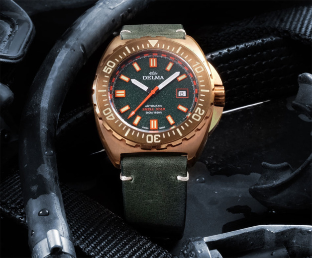 Delma Shell Star Bronze Delma Shell Star Bronze