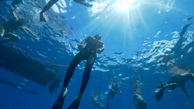 Panerai : une expérience unique pour 15 clients avec Guillaume Nery en Polynésie Panerai : une expérience unique pour 15 clients avec Guillaume Nery en Polynésie