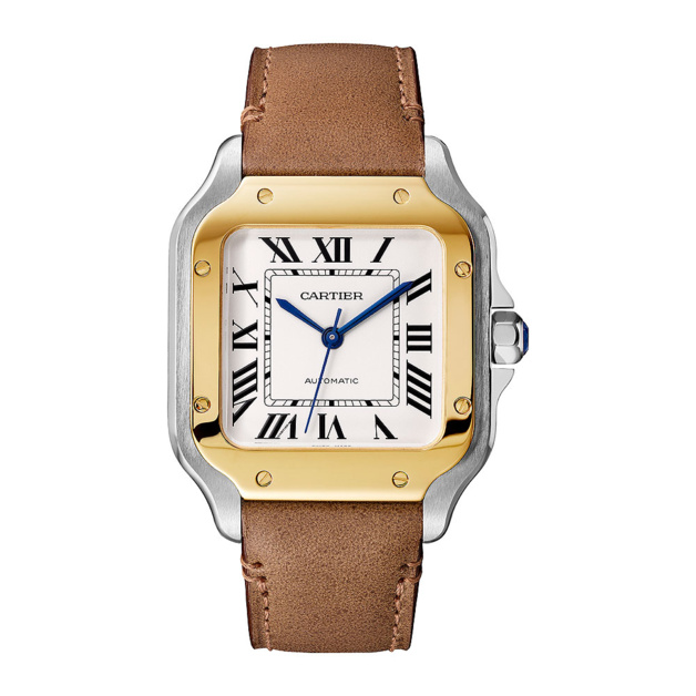 Santos de Cartier Santos de Cartier