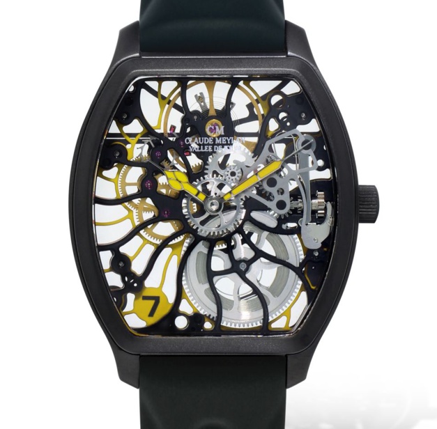 Claude Meylan Tortue Rainbow Claude Meylan Tortue Rainbow