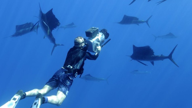 Omega : un regard unique sur nos océans avec Planète Océan, le film de Yann Arthus-Bertrand Omega : un regard unique sur nos océans avec Planète Océan, le film de Yann Arthus-Bertrand