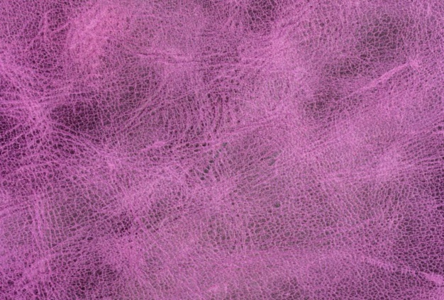 Violet : la grande tendance couleur de l'été vue par ABP Concept