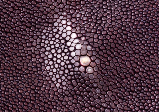 Violet : la grande tendance couleur de l'été vue par ABP Concept