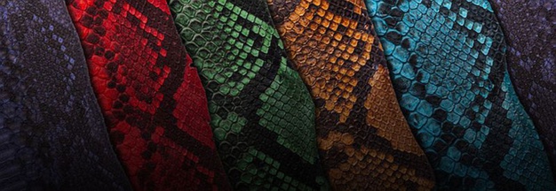 ABP Concept : du python de toutes les couleurs... ou presque !