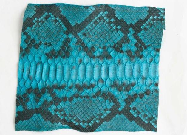 ABP Concept : du python de toutes les couleurs... ou presque !