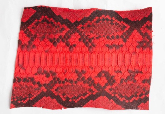 ABP Concept : du python de toutes les couleurs... ou presque !