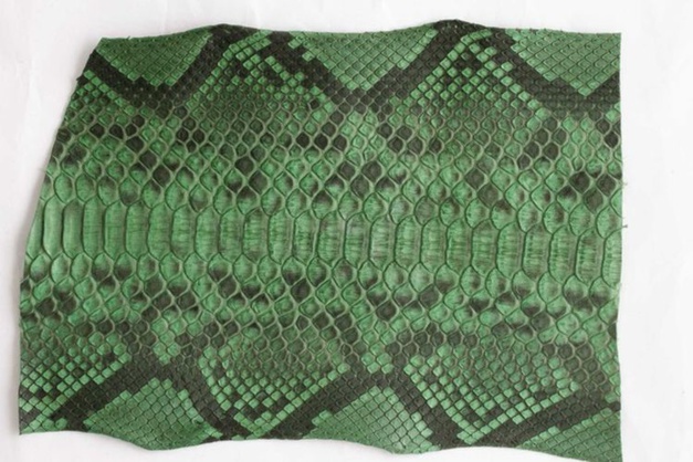 ABP Concept : du python de toutes les couleurs... ou presque !