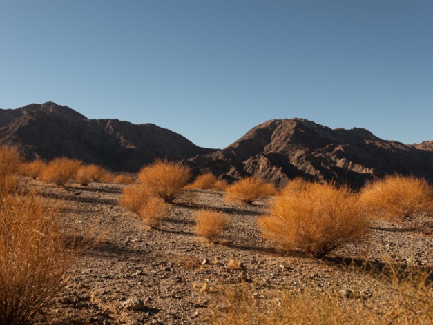 Richard Mille partenaire de Desert X 2021 Richard Mille partenaire de Desert X 2021