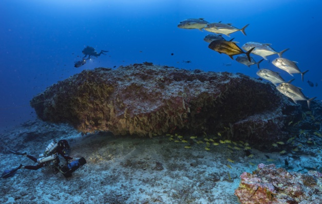 La Perouse - Underwater cave © Laurent Ballesta La Perouse - Underwater cave © Laurent Ballesta