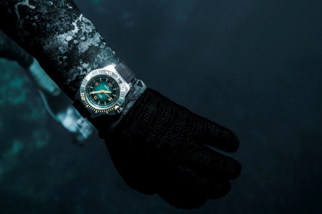 Delma Blue Shark III Açores : pour la sauvegarde des requins Delma Blue Shark III Açores : pour la sauvegarde des requins