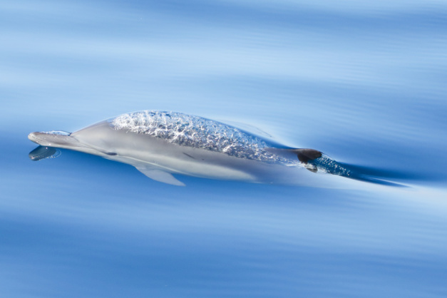 c_kyla_mcklay_3rd_young_photographer_of_the_year_2020 c_kyla_mcklay_3rd_young_photographer_of_the_year_2020