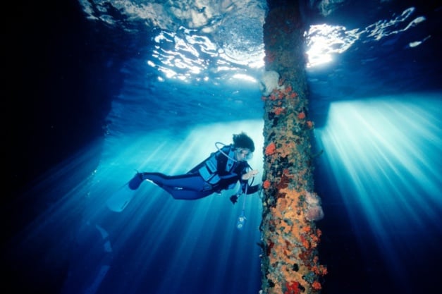 Dr Sylvia Earle by David Doubilet Dr Sylvia Earle by David Doubilet