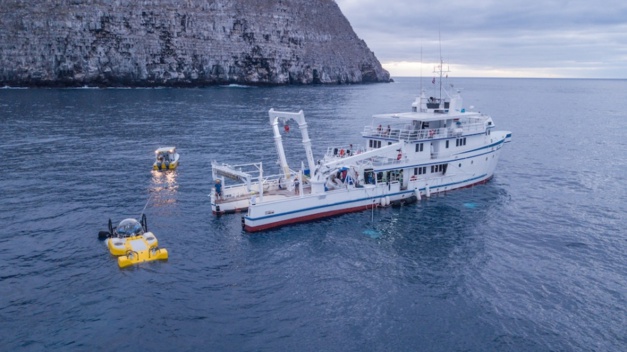 Rolex : un nouveau "Hope Spot" aux Açores pour protéger l'écosystème sous-marin