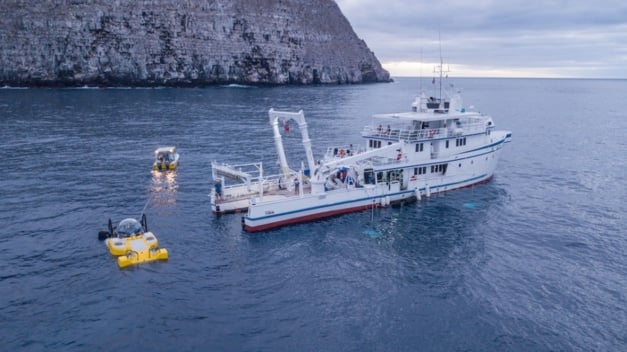 Rolex : un nouveau "Hope Spot" aux Açores pour protéger l'écosystème sous-marin Rolex : un nouveau "Hope Spot" aux Açores pour protéger l'écosystème sous-marin