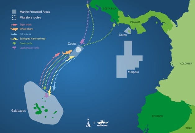 Rolex : un nouveau "Hope Spot" aux Açores pour protéger l'écosystème sous-marin Rolex : un nouveau "Hope Spot" aux Açores pour protéger l'écosystème sous-marin