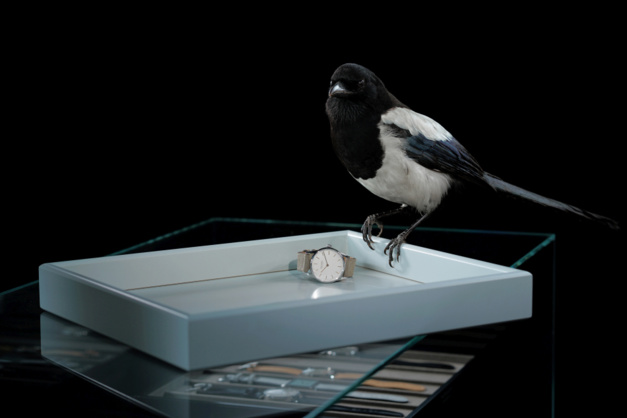 Nomos : de l'art de la mise en scène de la tentation horlogère