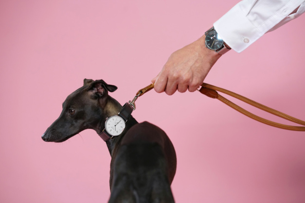Nomos : de l'art de la mise en scène de la tentation horlogère