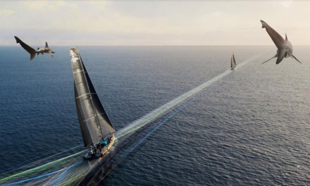 Ulysse Nardin : chronométreur officiel de l'Ocean Race 2022-2023