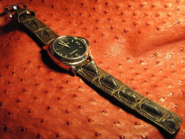 L'alligator et le croco corné : la chronique du bracelet-montre d’ABP