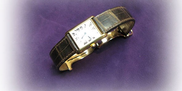 2. Alligator ou Crocodile… alligator 2. Alligator ou Crocodile… alligator