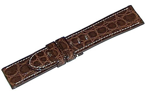 3. Alligator ou Crocodile… crocodile 3. Alligator ou Crocodile… crocodile