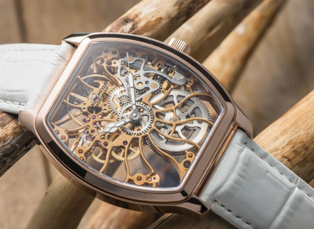 Tortue Claude Meylan : la vie en rose, en or rose ! Tortue Claude Meylan : la vie en rose, en or rose !