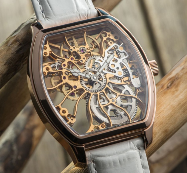 Tortue Claude Meylan : la vie en rose, en or rose ! Tortue Claude Meylan : la vie en rose, en or rose !