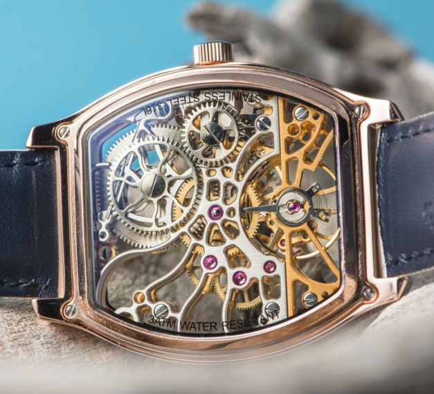 Tortue Claude Meylan : la vie en rose, en or rose ! Tortue Claude Meylan : la vie en rose, en or rose !