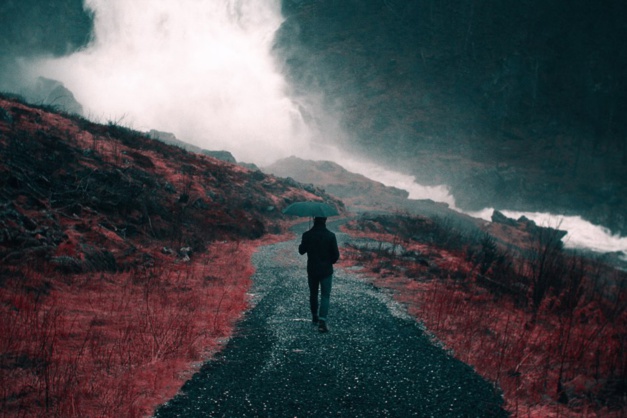 Photo by Nick Scheerbart on Unsplash Photo by Nick Scheerbart on Unsplash