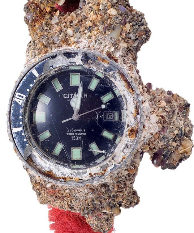 Citizen Promaster Mechanical Diver 200M "Fujitsubo" Citizen Promaster Mechanical Diver 200M "Fujitsubo"