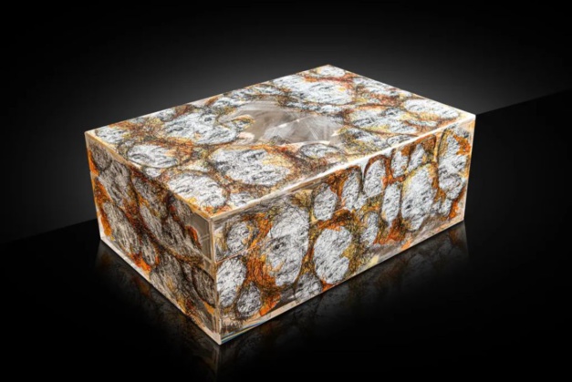 Franck Muller Double Mystery Tourbillon modèle unique avec Hom Nguyen : une belle histoire Franck Muller Double Mystery Tourbillon modèle unique avec Hom Nguyen : une belle histoire