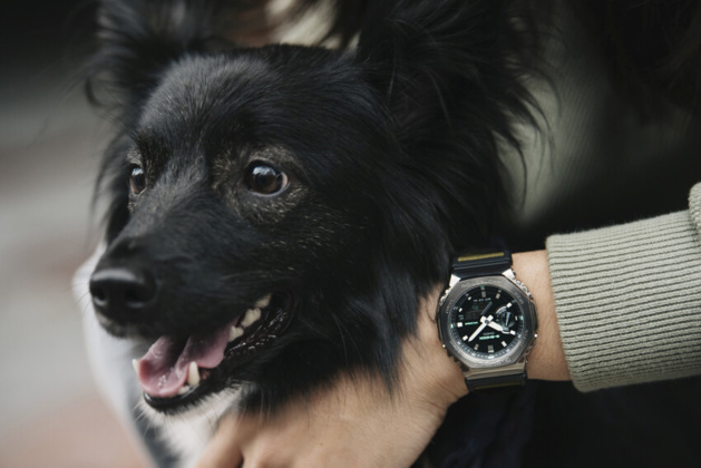 G-Shock GM 2100 : un nouveau look très cool sur bracelet type Nato G-Shock GM 2100 : un nouveau look très cool sur bracelet type Nato