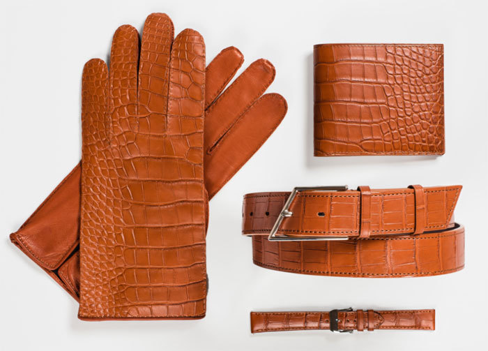 Camille Fournet, set alligator