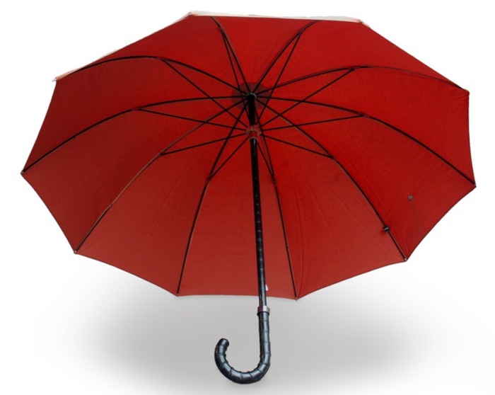 ABP : des parapluies et des cannes gainés d'alligator