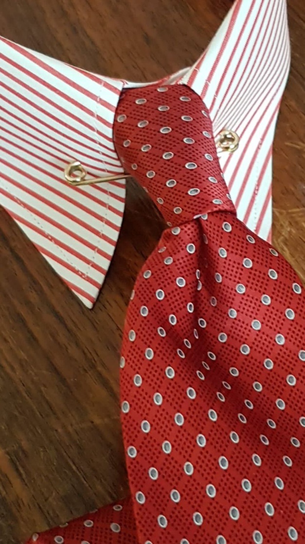 De l'art de discipliner les cols de chemise par Aelys Iroise De l'art de discipliner les cols de chemise par Aelys Iroise