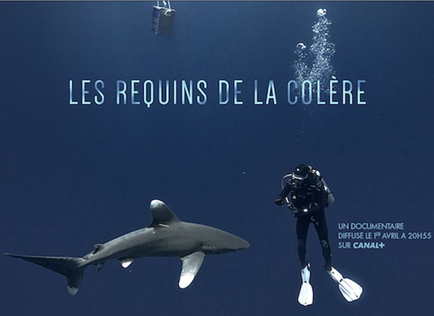 Oris partenaire de Jérôme Delafosse dans le reportage "Les Requins de la colère"