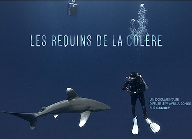 Oris partenaire de Jérôme Delafosse dans le reportage "Les Requins de la colère" Oris partenaire de Jérôme Delafosse dans le reportage "Les Requins de la colère"