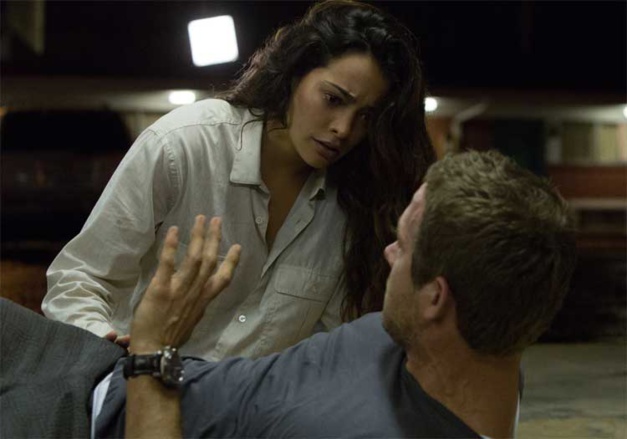 Renaissances, Ryan Reynolds, DR Renaissances, Ryan Reynolds, DR