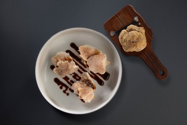 F.P.Journe : la très exclusive élégante Le Restaurant avec cadran rouge-bordeaux ! F.P.Journe : la très exclusive élégante Le Restaurant avec cadran rouge-bordeaux !